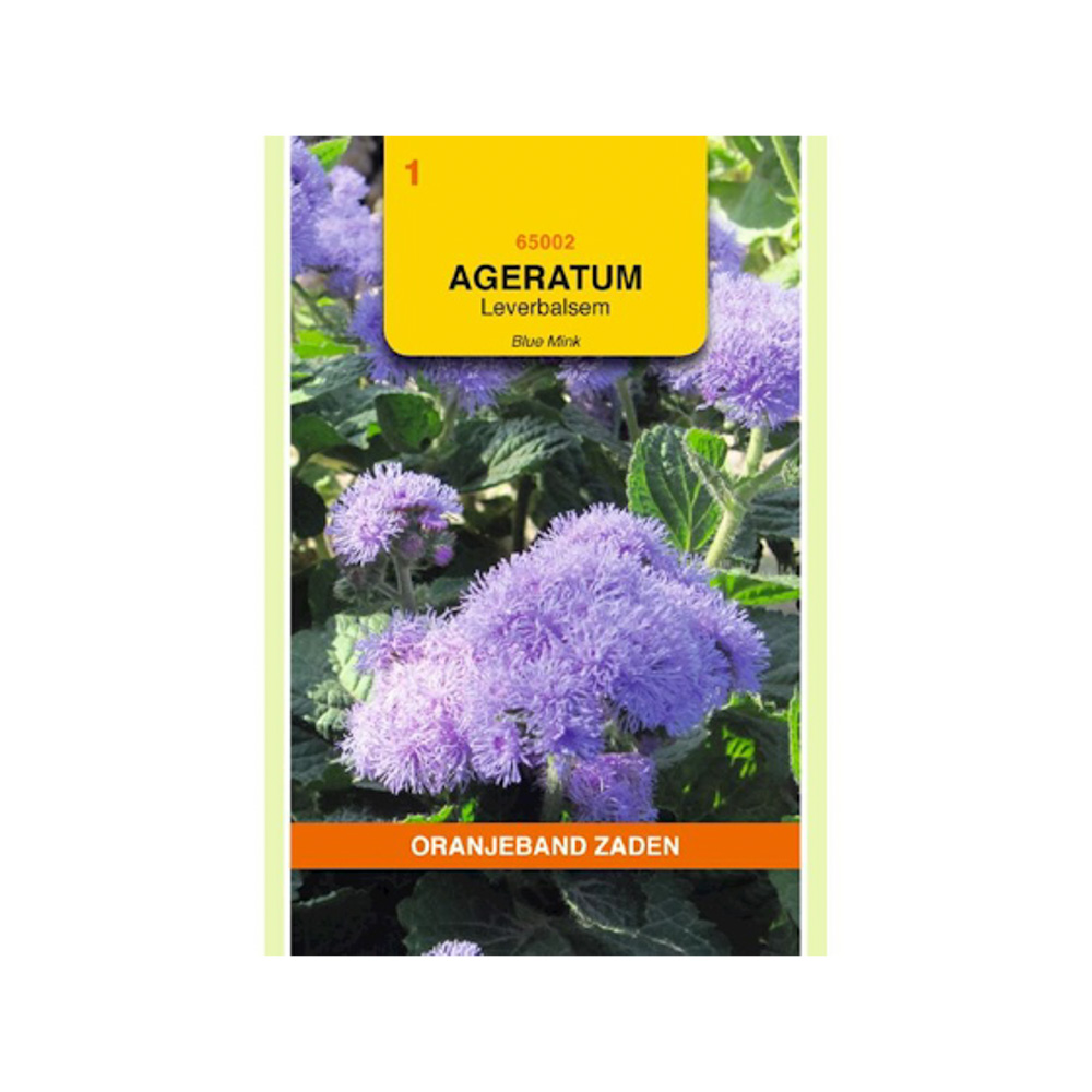 Ageratum, Leverbalsem Blue Mink