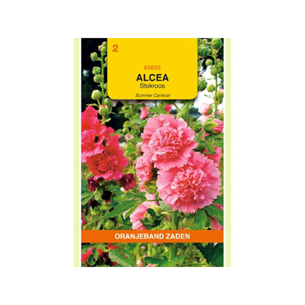  Althaea (Alcea), Stokroos Summer Carnaval