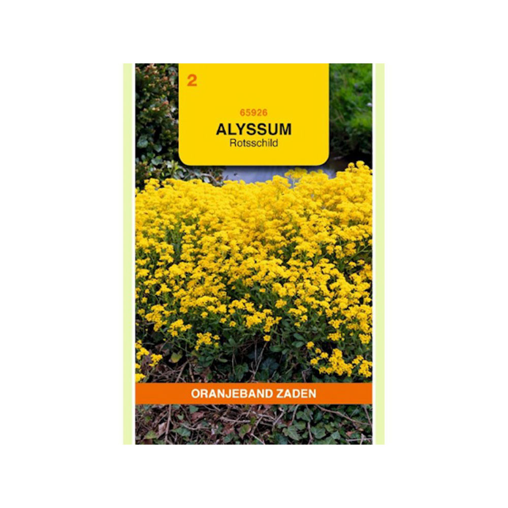 Alyssum, Rotsschild