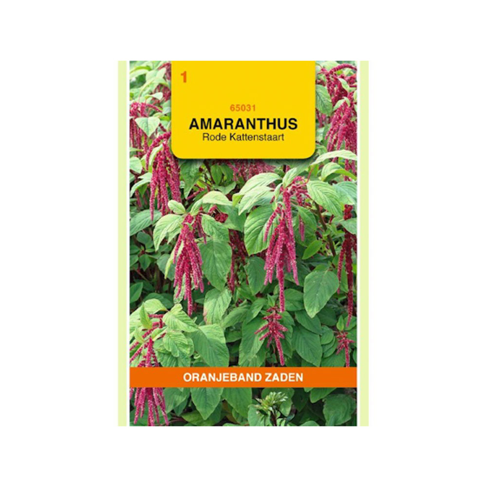 Amaranthus, Kattenstaart rood