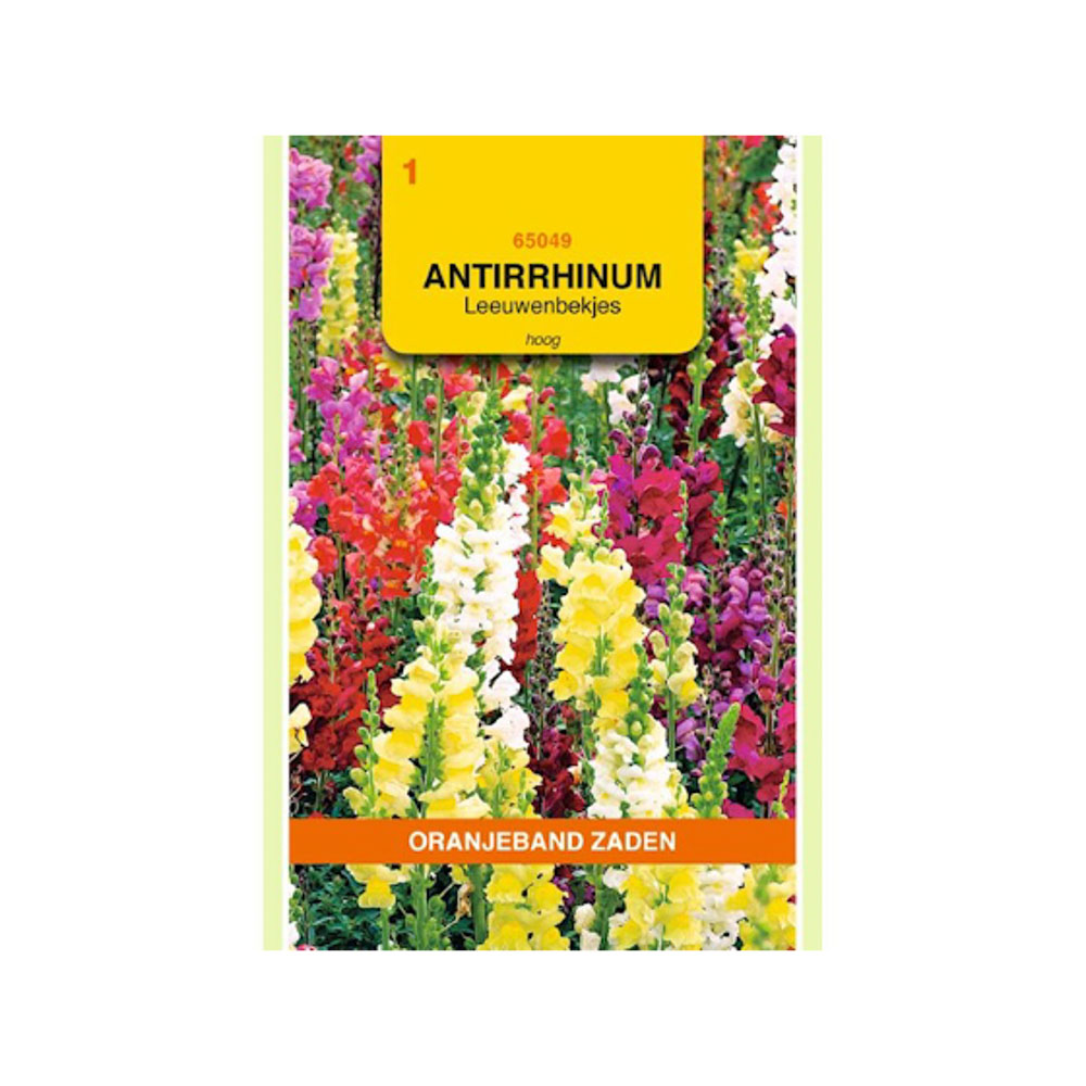 Antirrhinum, Leeuwenbekje, hoog gemengd