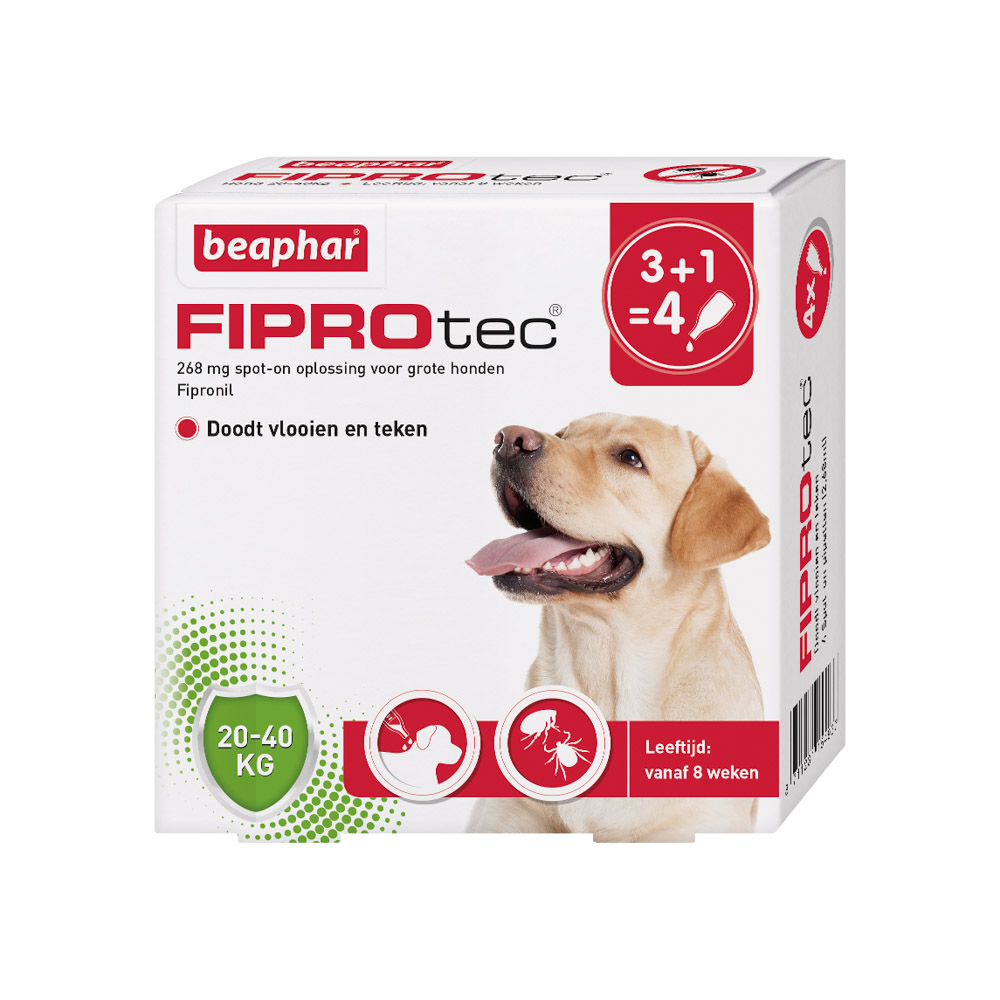 Imperial Onderscheiden verraden Beaphar Fiprotec Spot-On voor honden 20-40 kg | Anti Vlo en Teken | Agro  Tuin & Dier