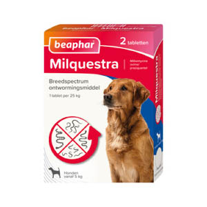 Ontworming