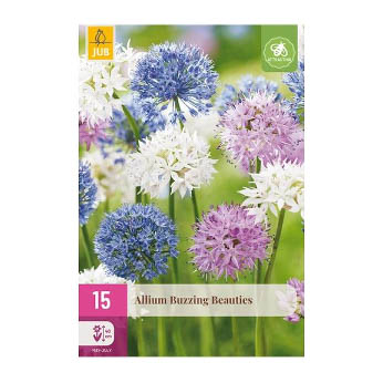 Bloembollen Allium Buzzing Beauties Jub Holland