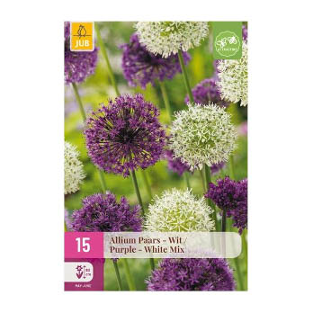Bloembollen Allium Paars - Wit Jub Holland