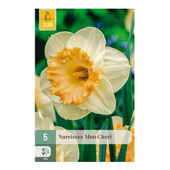 Bloembollen Narcis Mon Cheri Jub Holland