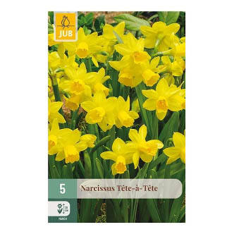 Bloembollen Narcis Tete-A-Tete Jub Holland