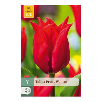 Bloembollen Tulp Pretty Woman Jub Holland