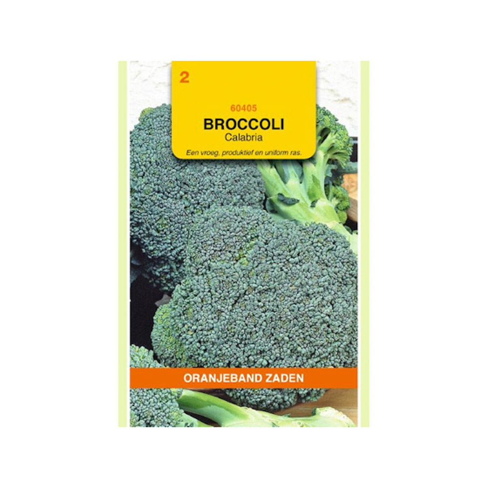 Broccolizaad Orangeband Broccoli Calabria