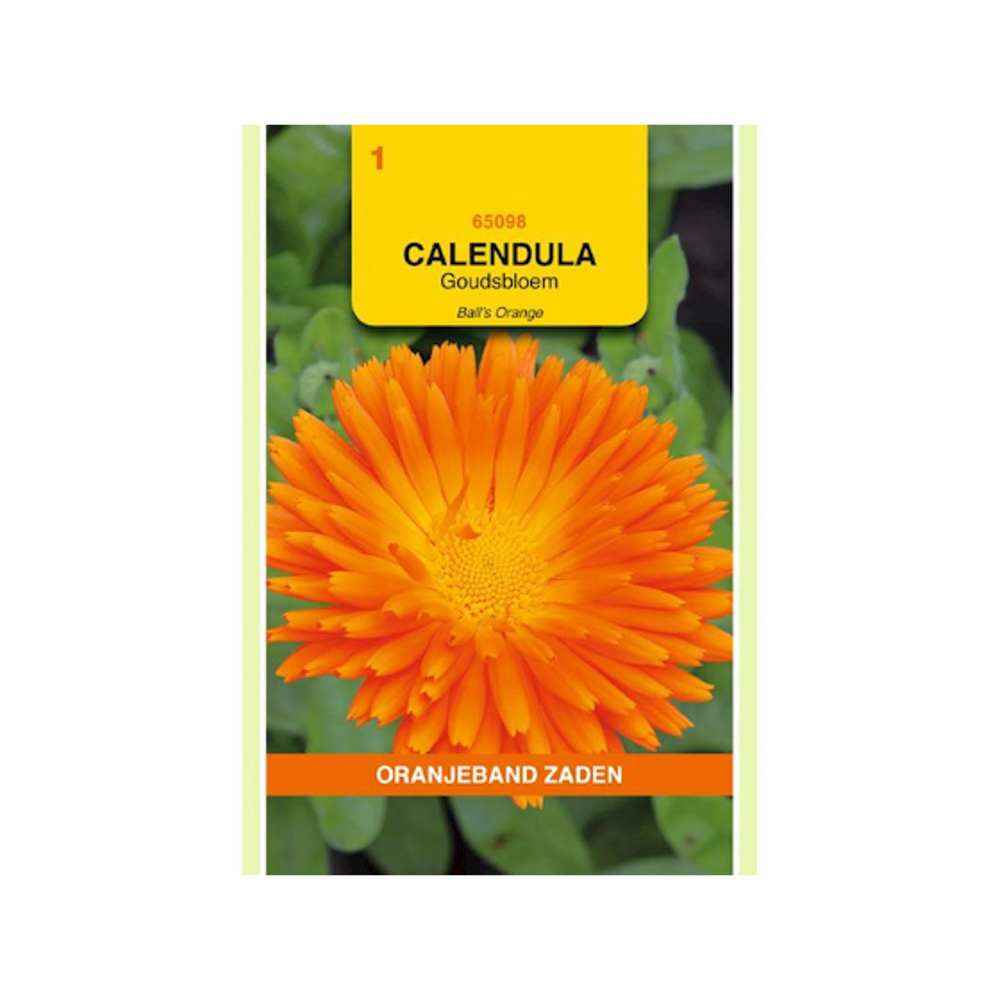  Calendula, Goudsbloem Ball’s Orange