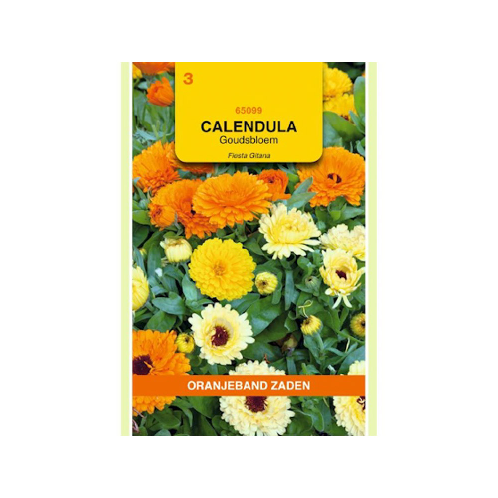 Calendula, Goudsbloem Fiesta Gitana