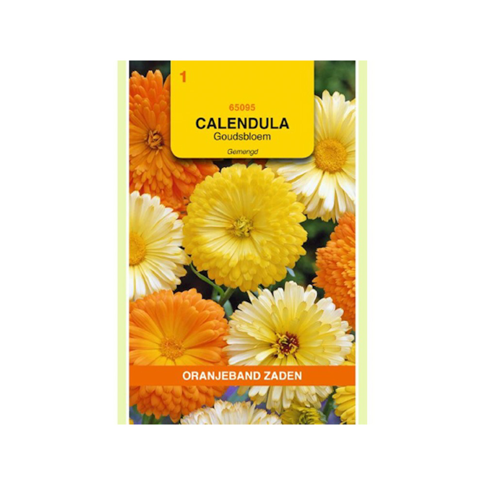  Calendula, Goudsbloem gemengd