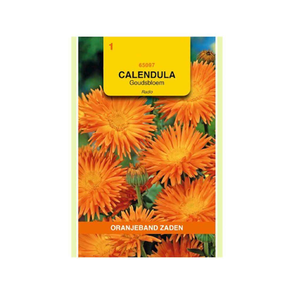  Calendula, Goudsbloem Radio