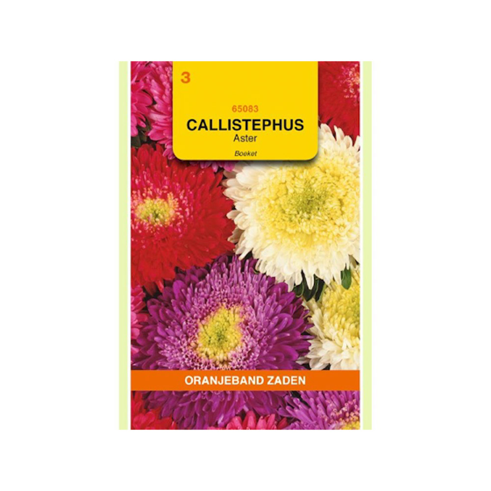 Callistephus, Aster Boeket gemengd