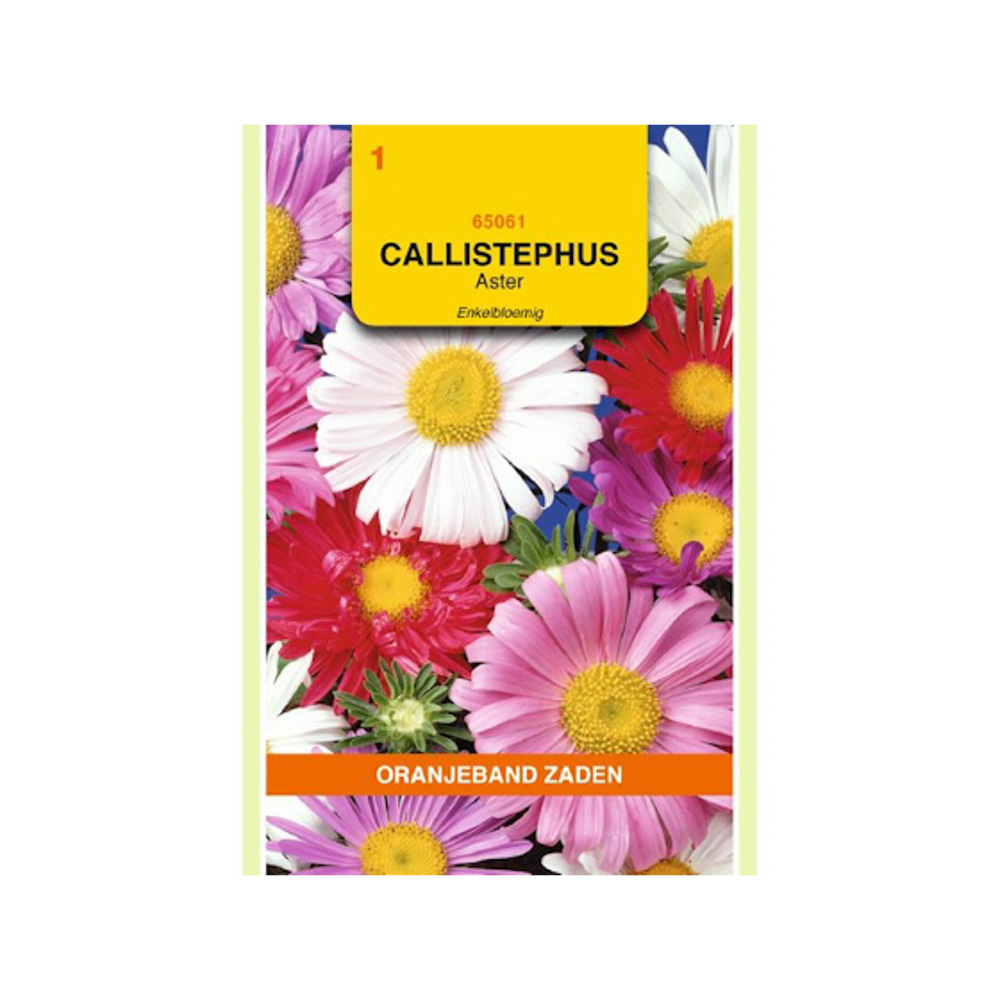 Callistephus, Aster enkelbloemig gemengd