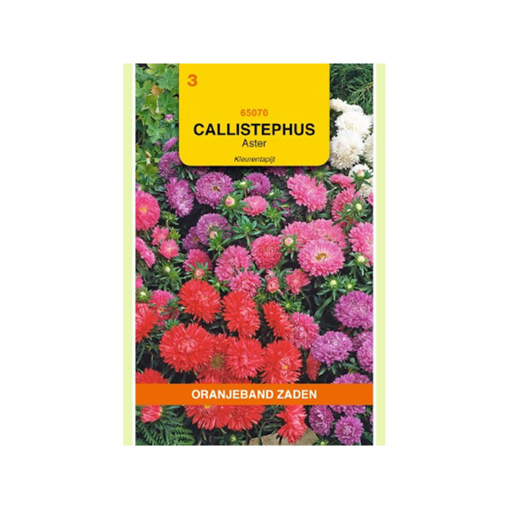 Callistephus, Aster Kleurentapijt gemengd