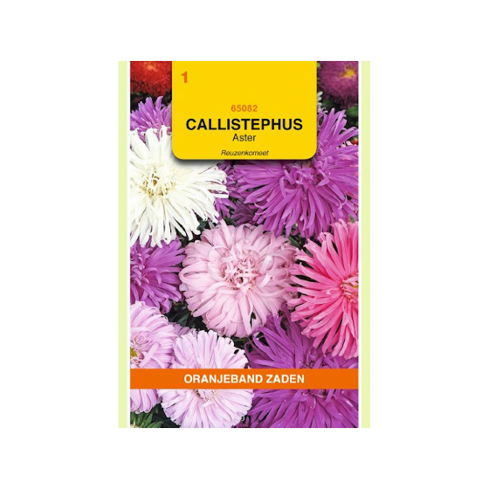 Callistephus, Aster Reuzenkomeet gemengd