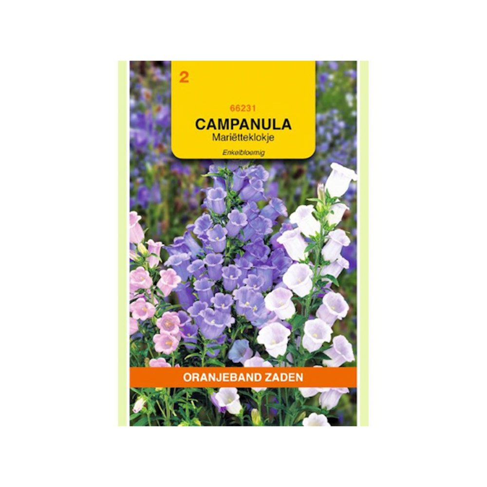 Campanula, Mariëtteklokje enkelbloemig gemengd