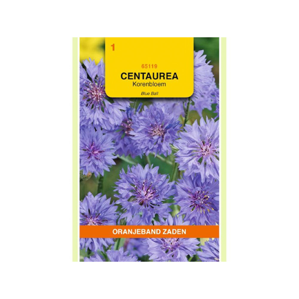 Centaurea, Korenbloem Blue Ball