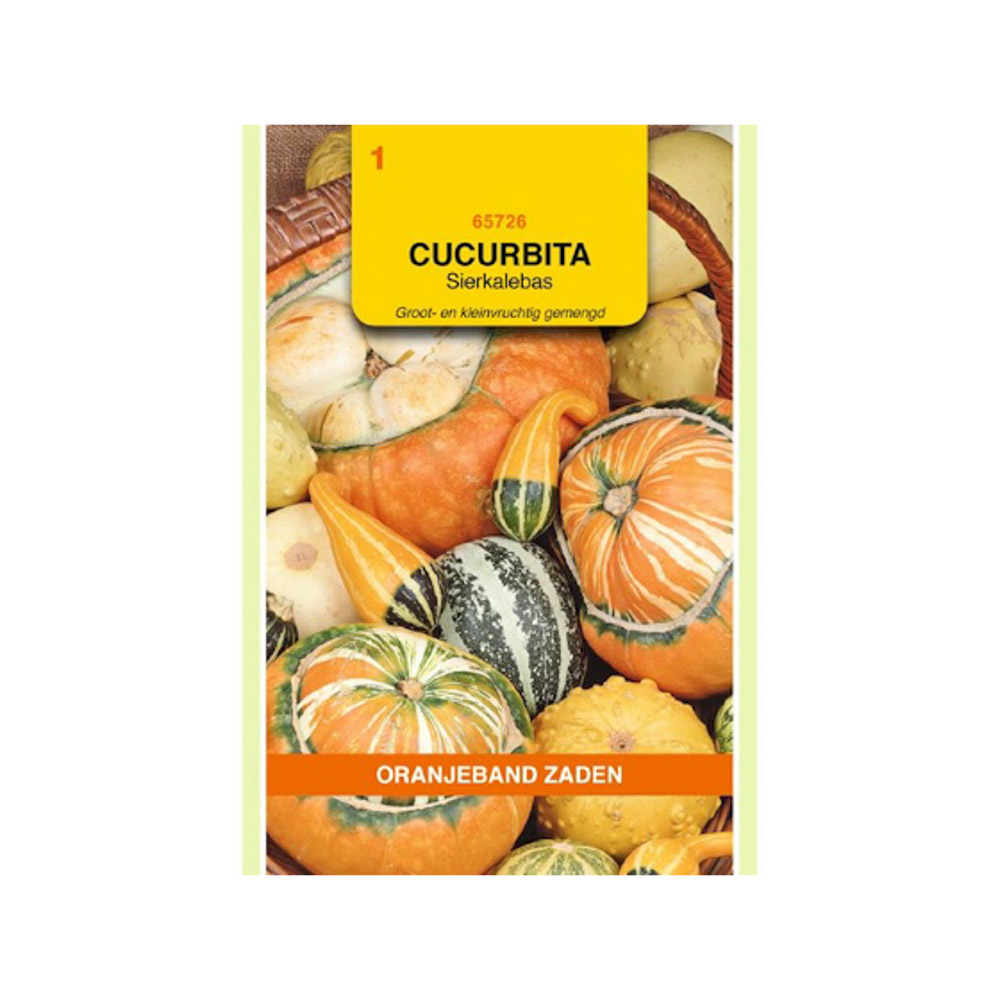  Cucurbita, Sierkalebas groot- en kleinvruchtig gemengd