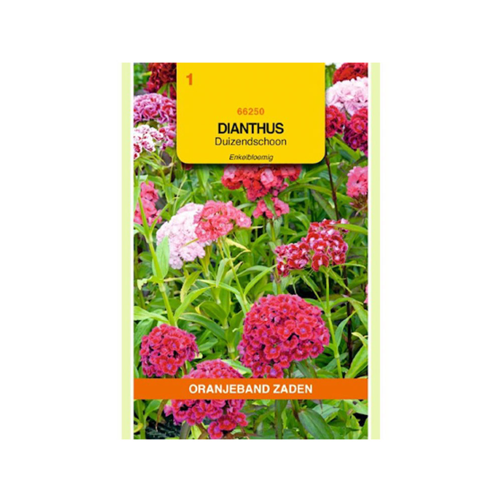 Dianthus, Duizendschoon enkelbloemig gemengd