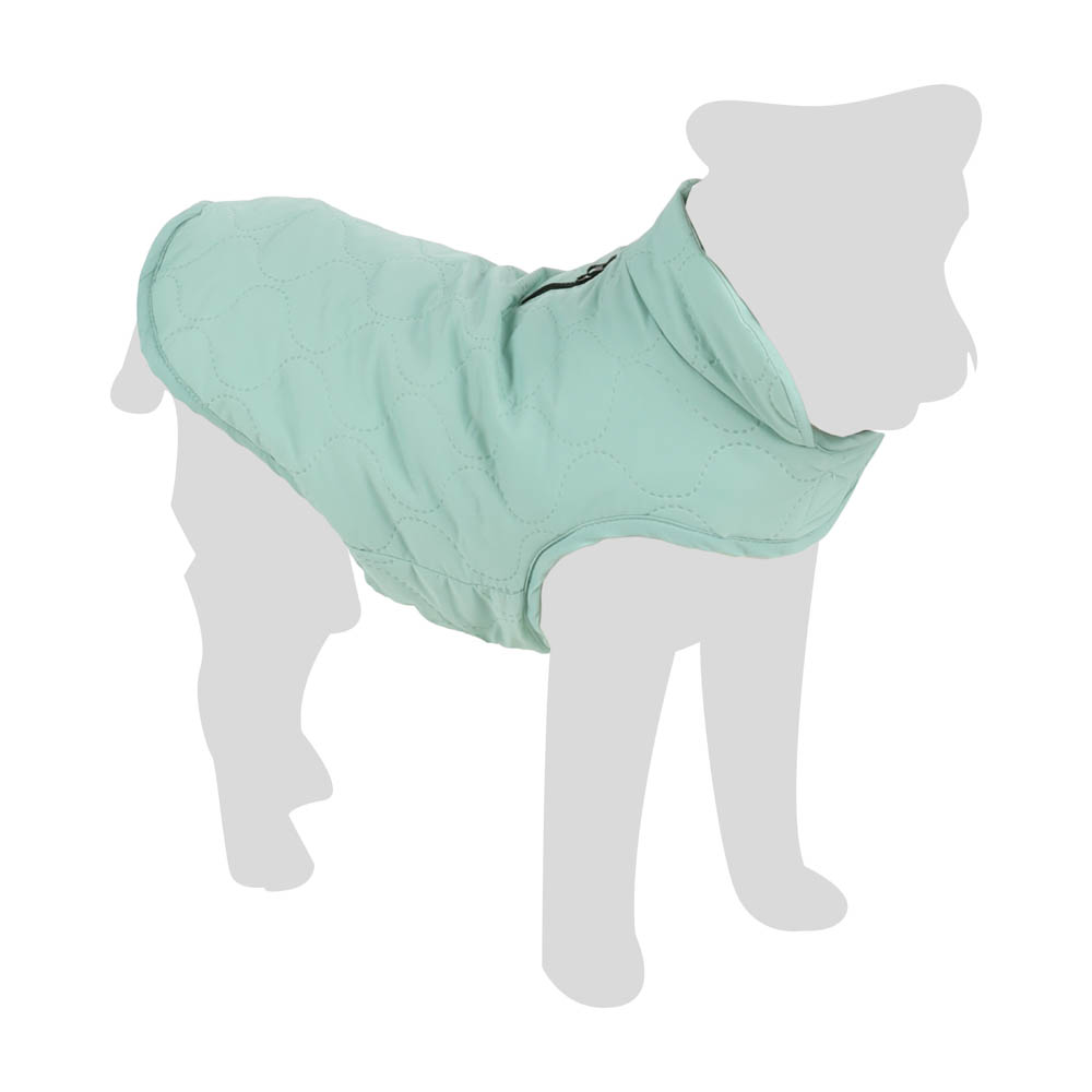 Flamingo Hondenjas Tosca Mintgroen