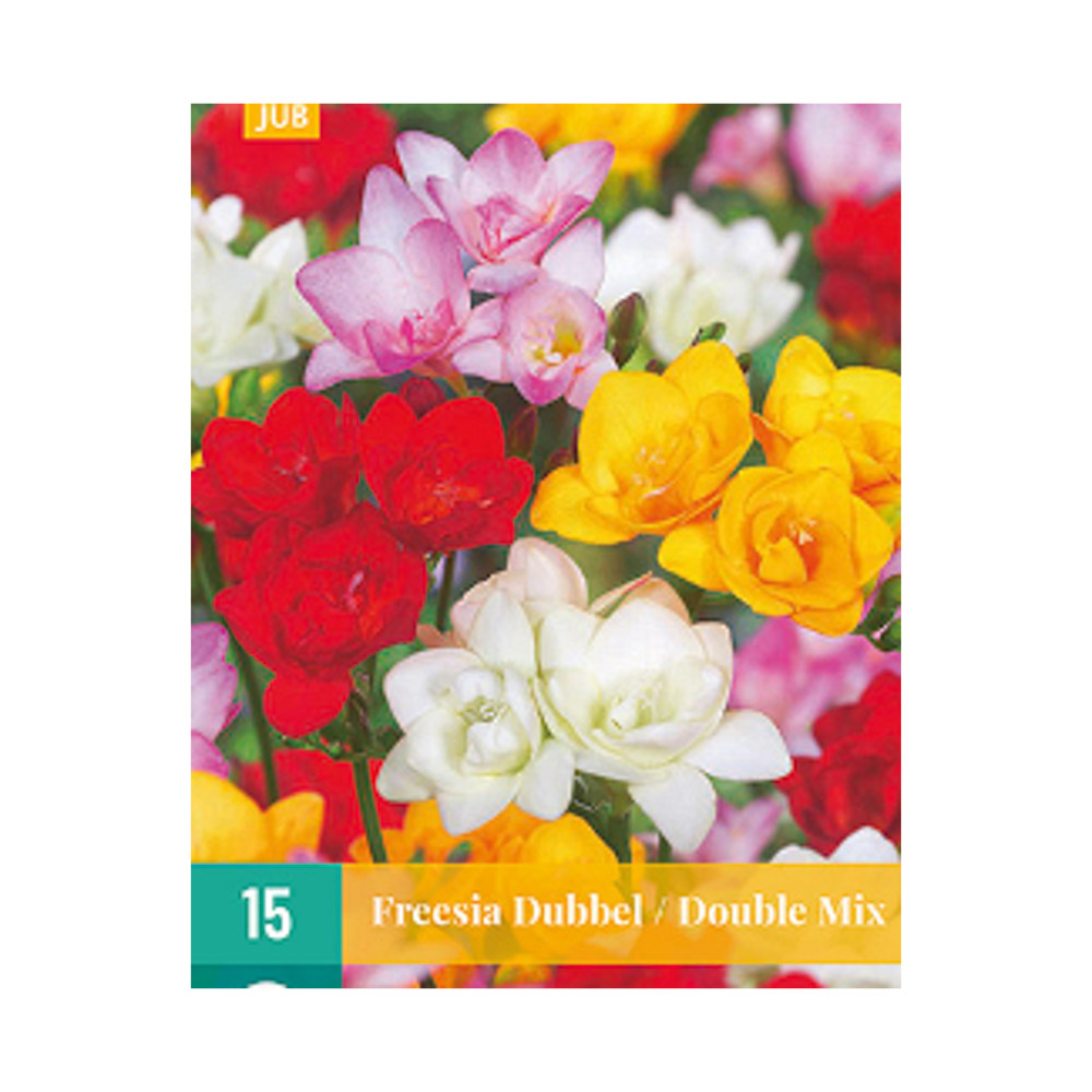 Bloembollen Freesia’s dubbel mix JUB Holland