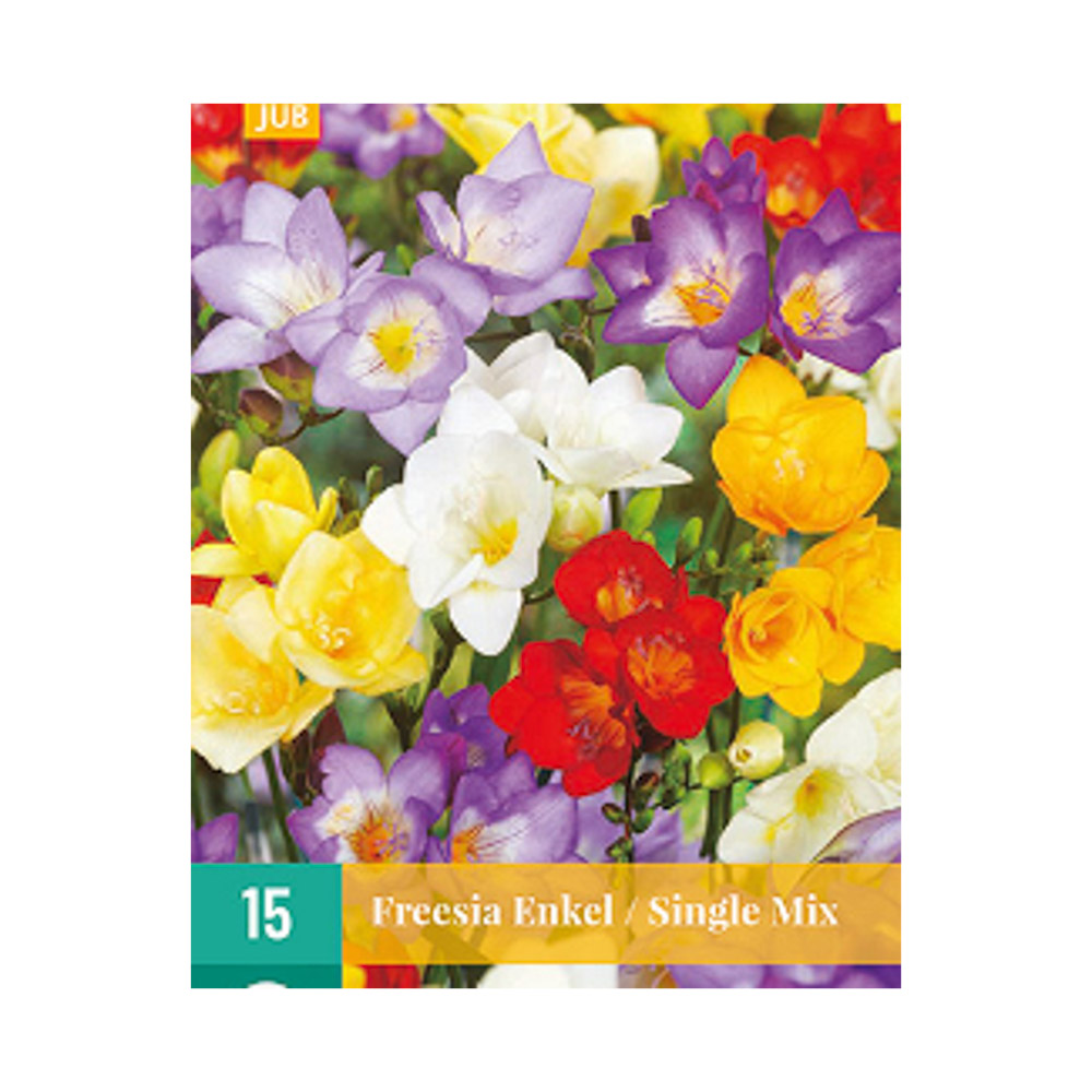 Bloembollen Freesia’s enkel mix JUB Holland