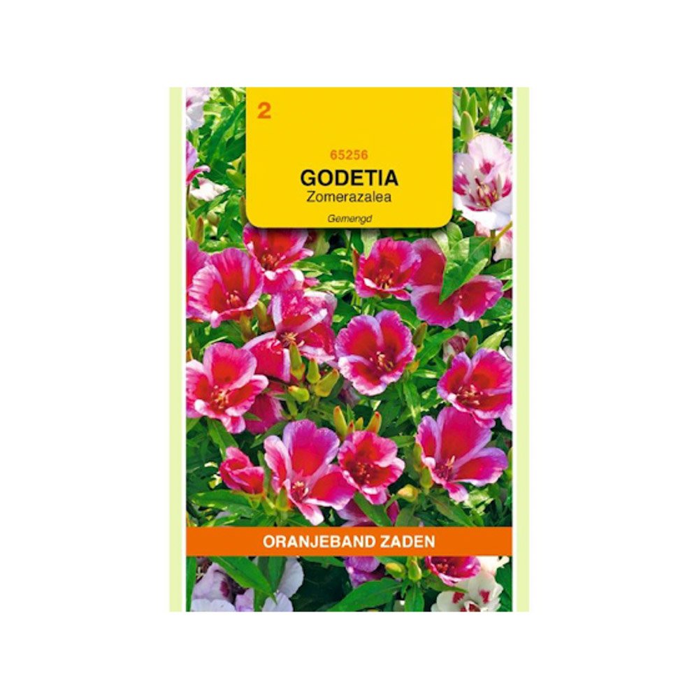 Godetia, zomerazalea gemengd