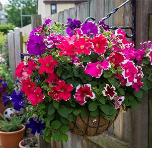 Hanging Baskets en Muurhaken