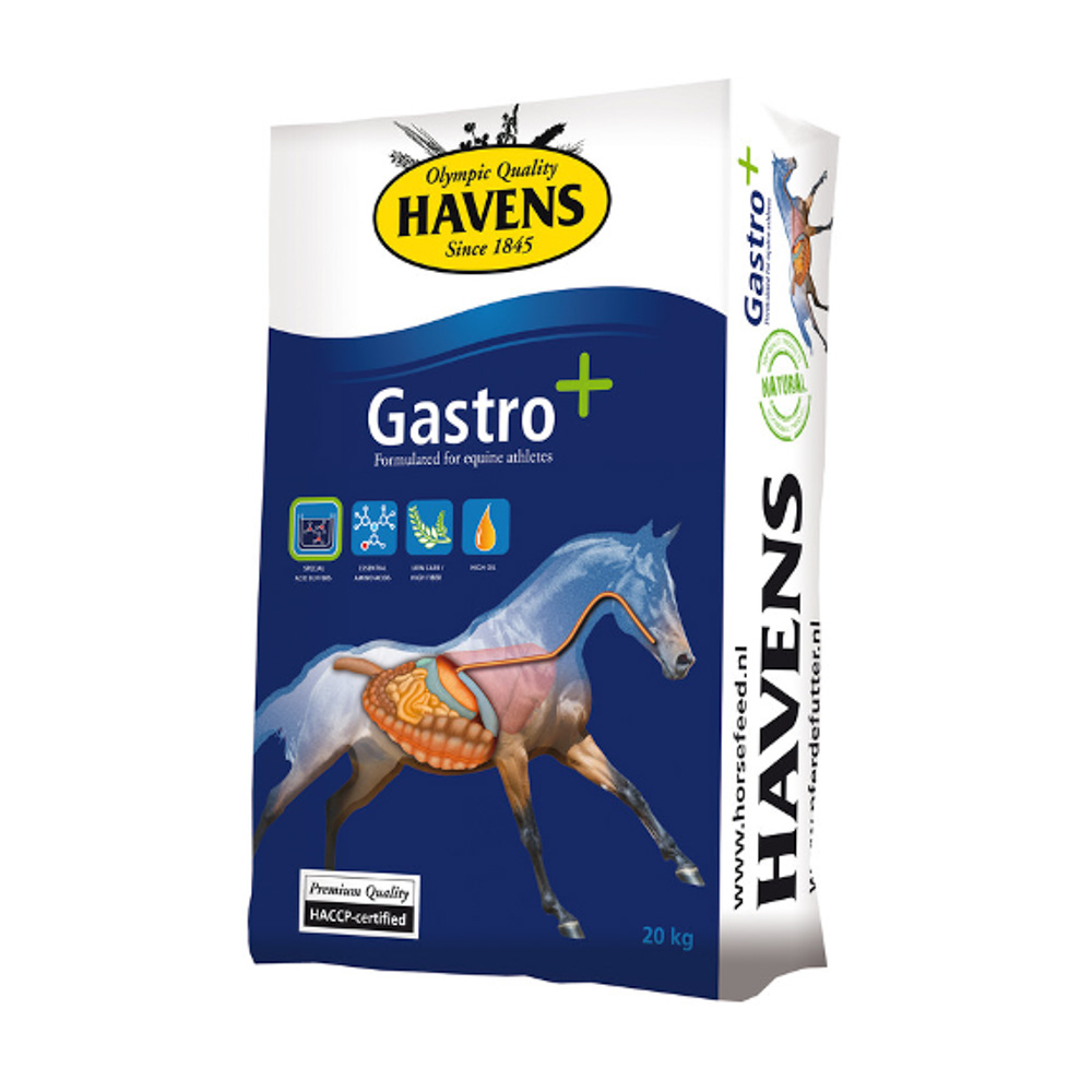 Havens Gastro+