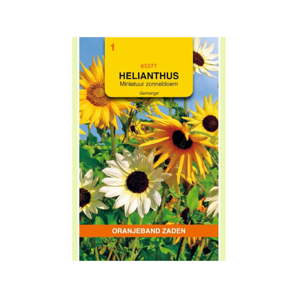 Helianthus, miniatuur Zonnebloem gemengd