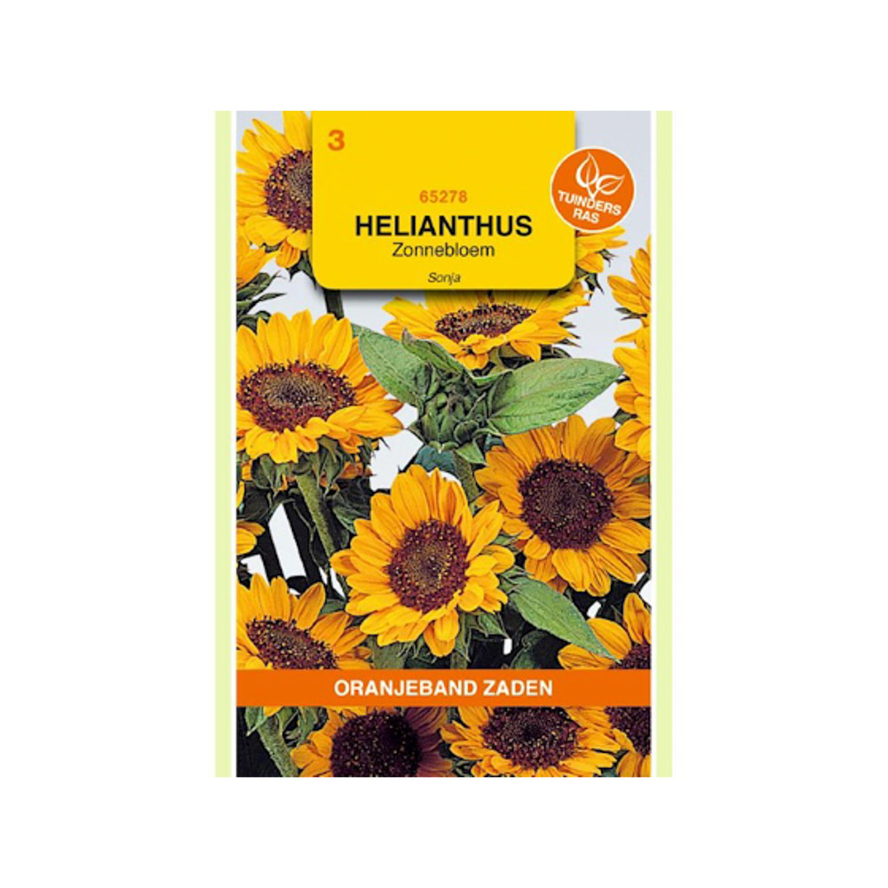 Helianthus, Zonnebloem Sonja