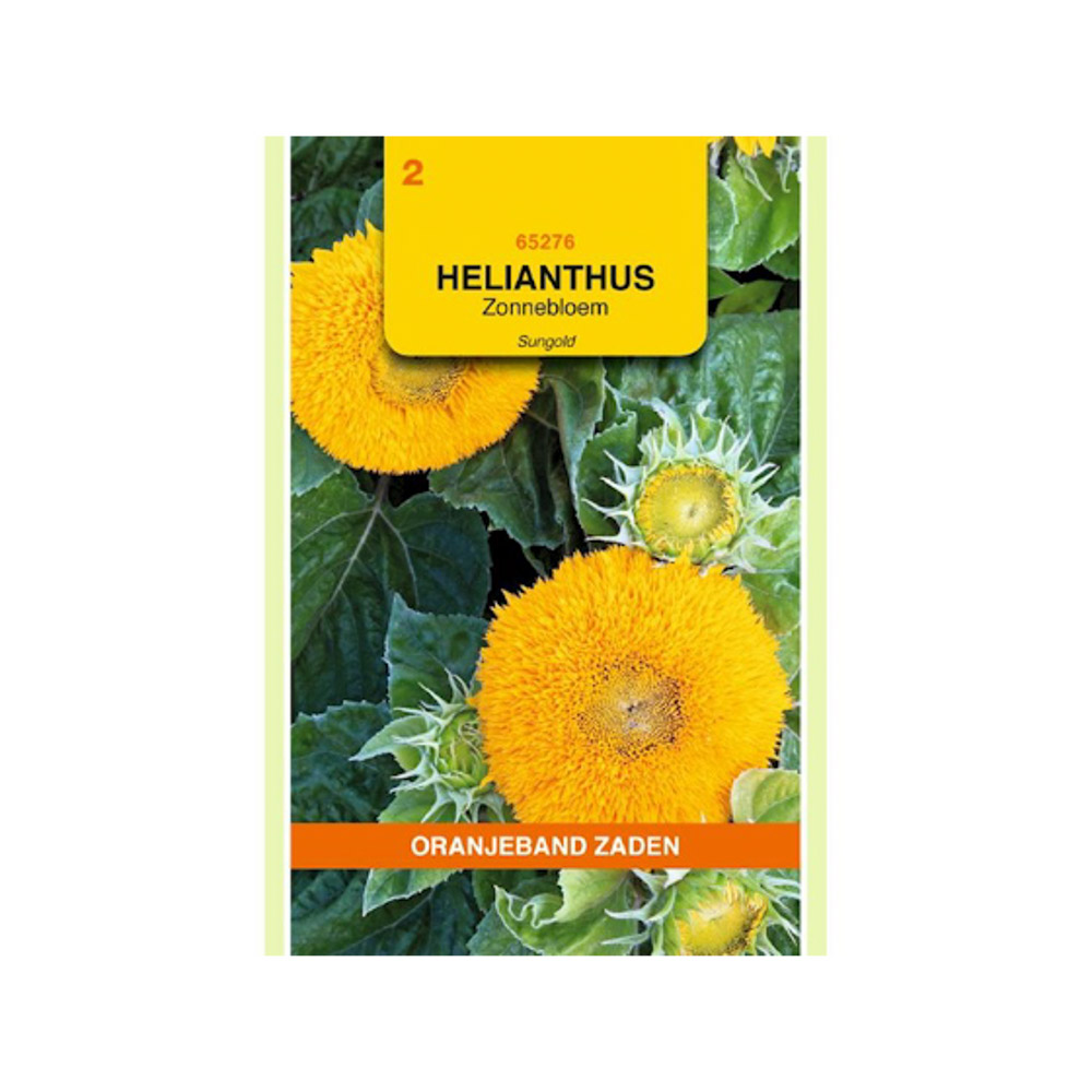 Helianthus, Zonnebloem Sungold dubbelbloemig laag