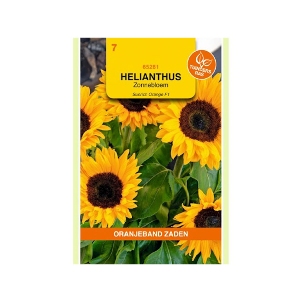 Helianthus, Zonnebloem Sunrich Orange F1