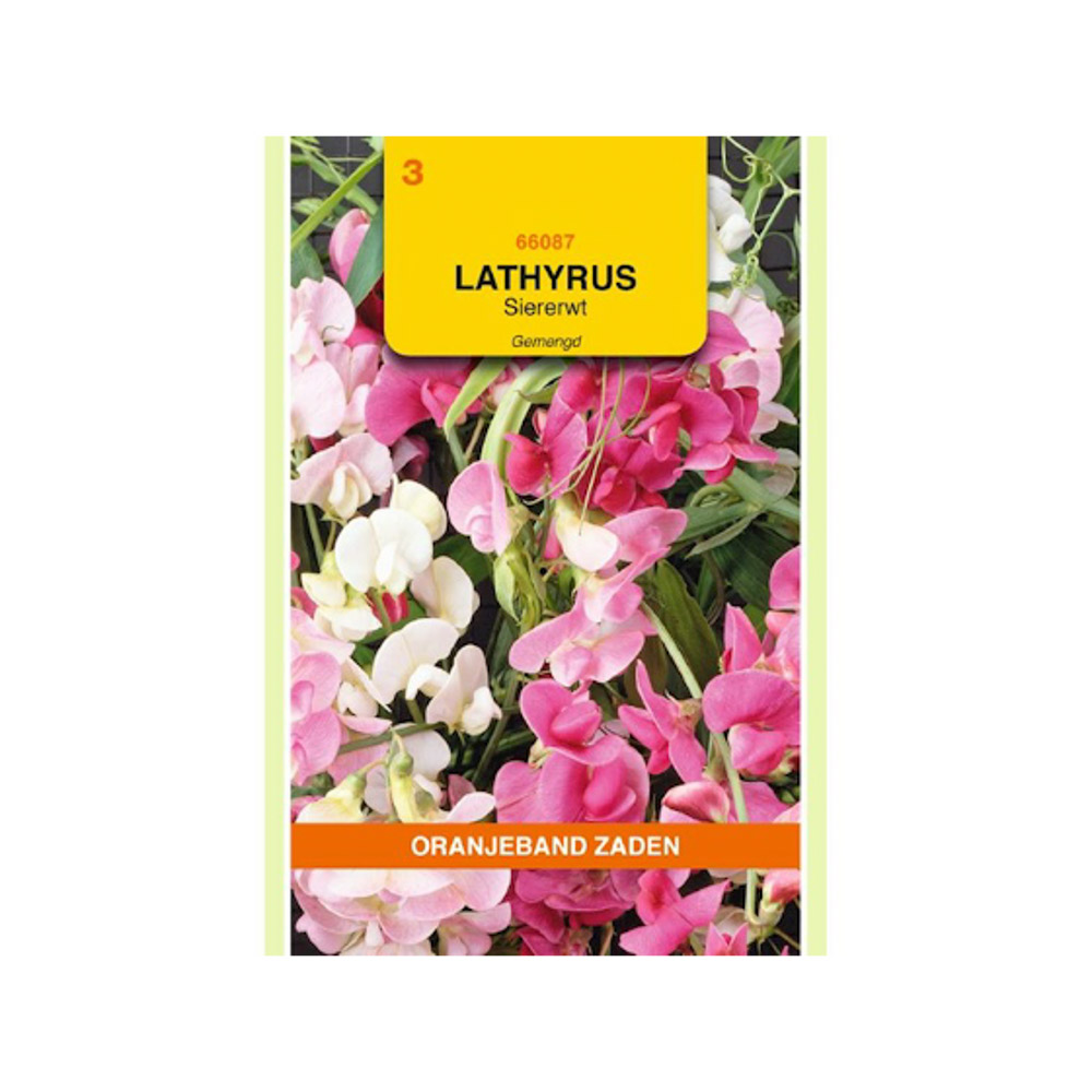 Lathyrus, Reuk- of Siererwt gemengd, overblijvend