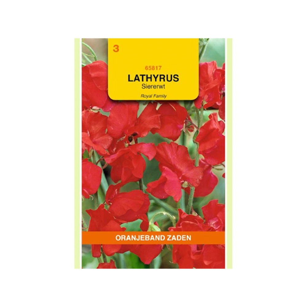 Lathyrus, Reuk- of siererwt Royal, rood