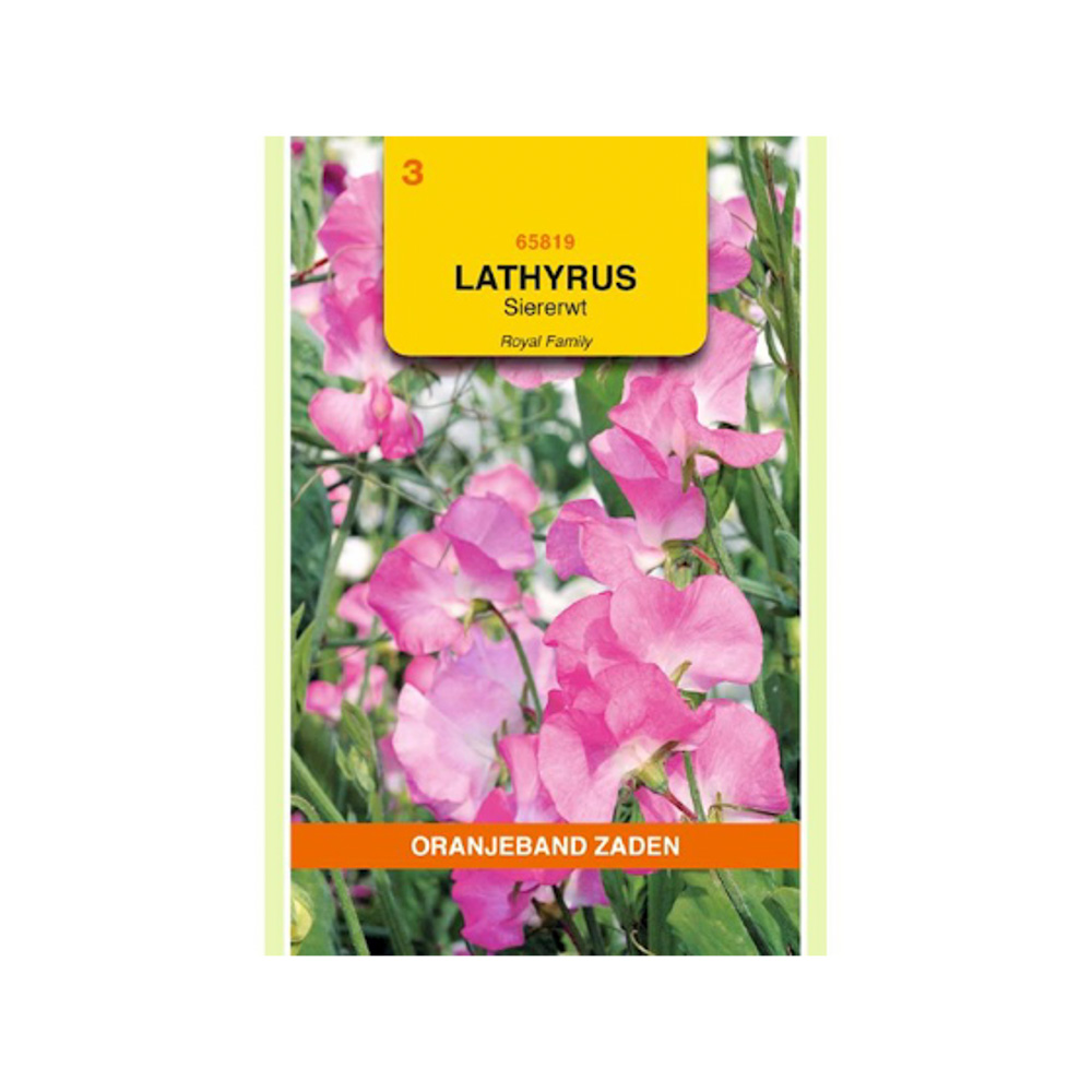 Lathyrus, Reuk- of siererwt Royal, roze