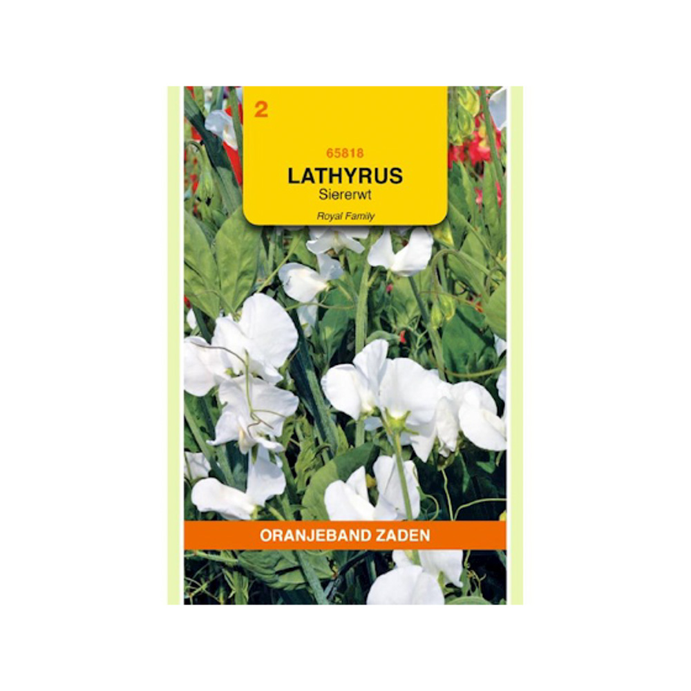 Lathyrus, Reuk- of siererwt Royal, wit