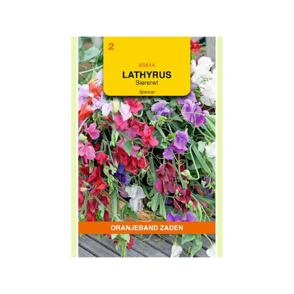 Lathyrus, Reuk- of siererwt Spencer gemengd