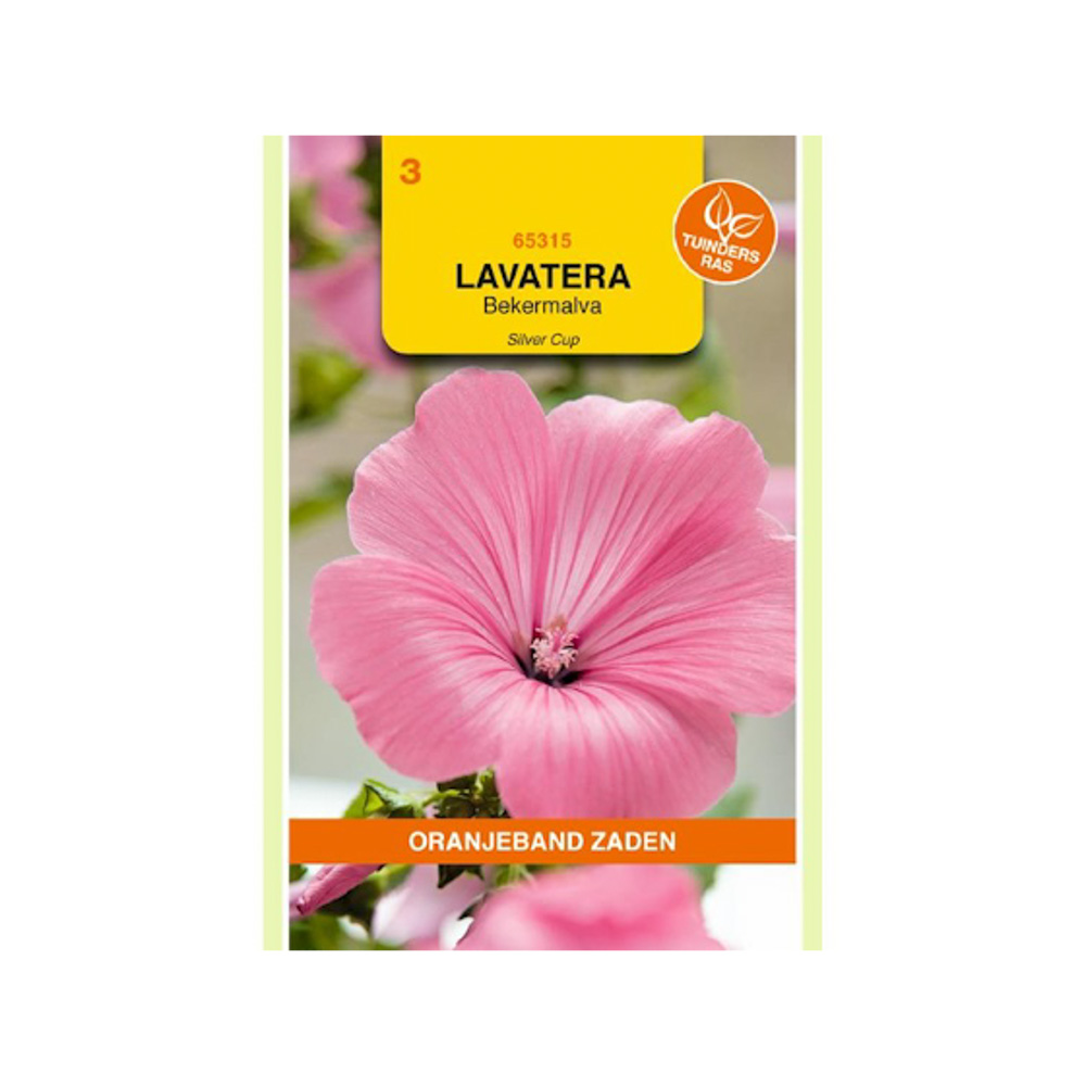  Lavatera, Bekermalva Silver Cup