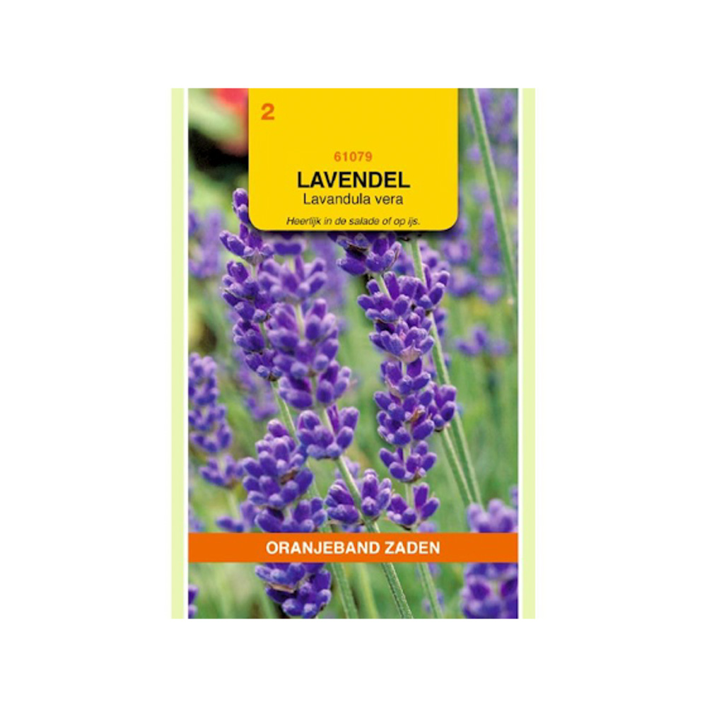 Lavendel