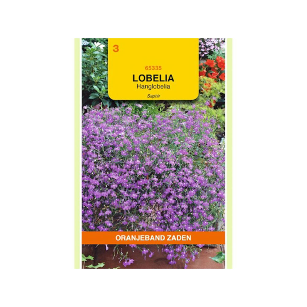  Lobelia Saphir, blauw