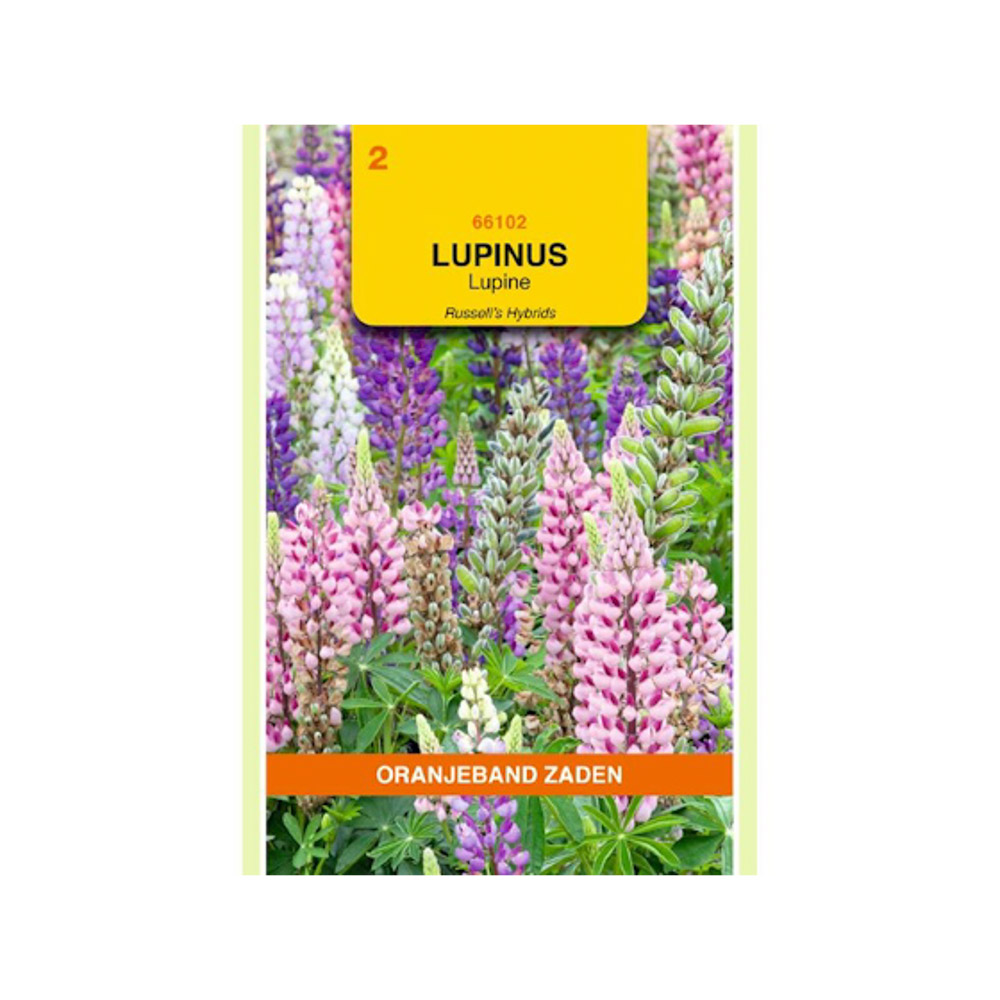  Lupinus, Lupine Russell’s gemengd