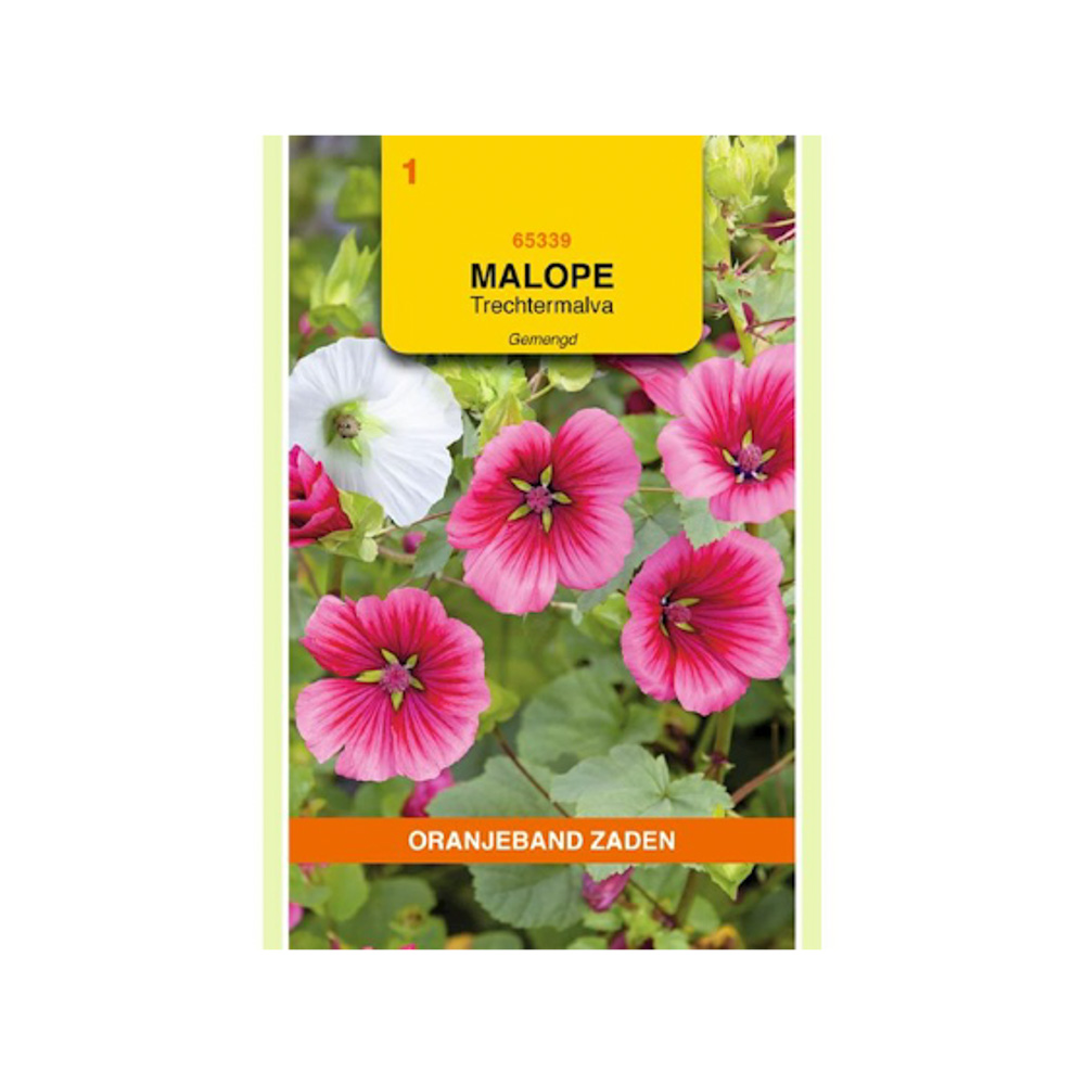 Malope, Trechtermalva gemengd