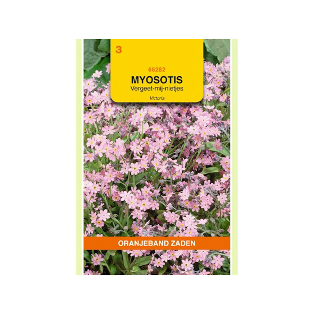 Myosotis, Vergeet-mij-niet Victoria, roze