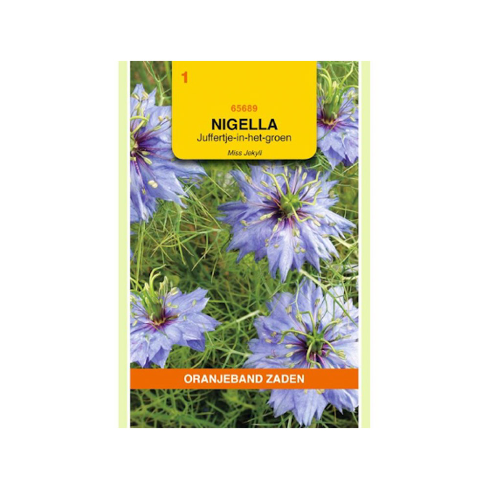 Nigella, Juffertje-in-het-groen Miss Jekyll