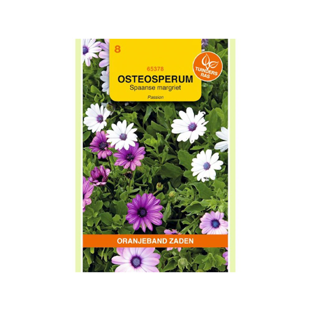 Osteospermum, Spaanse Margriet Passion gemengd