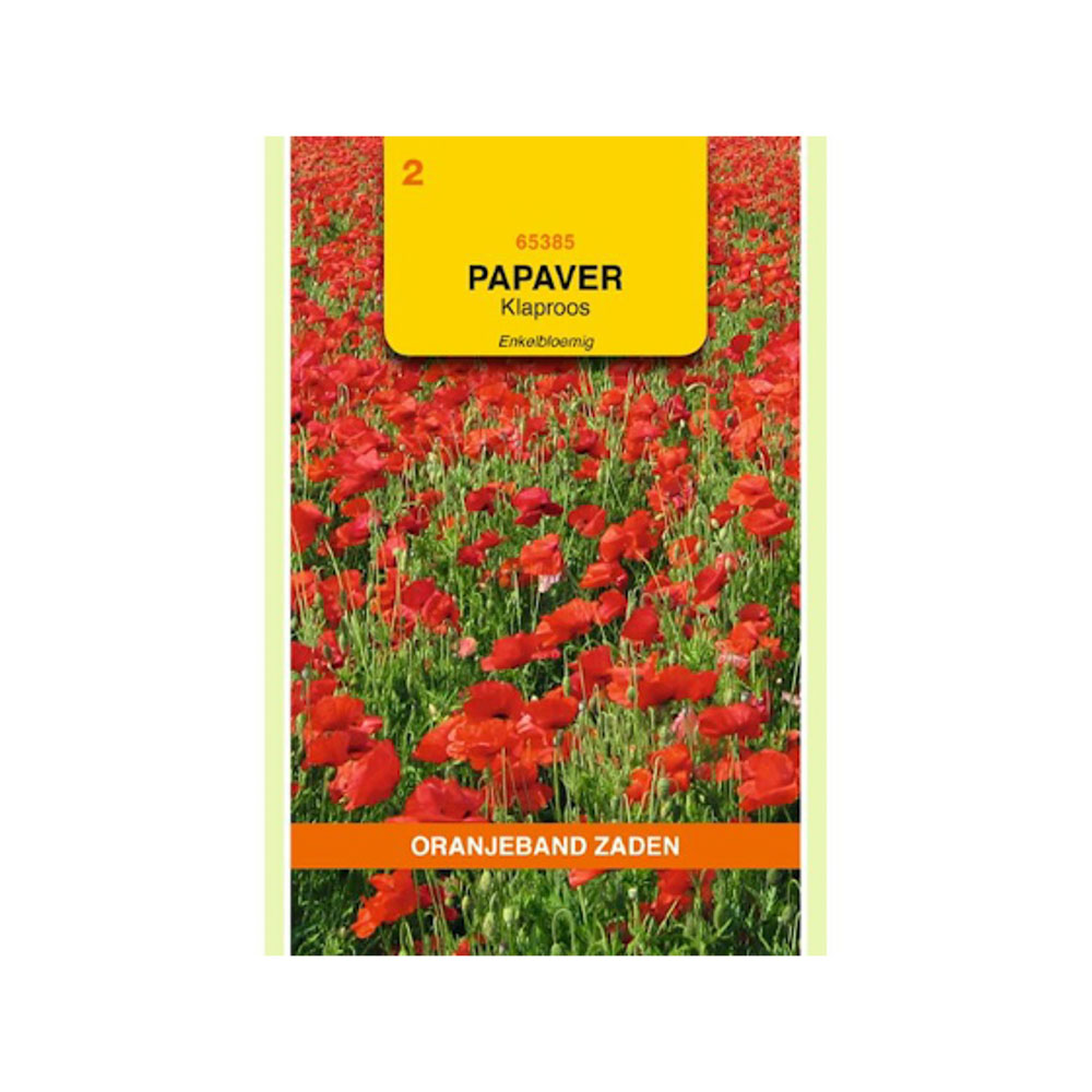 Papaver, Klaproos enkelbloemig (gewone)