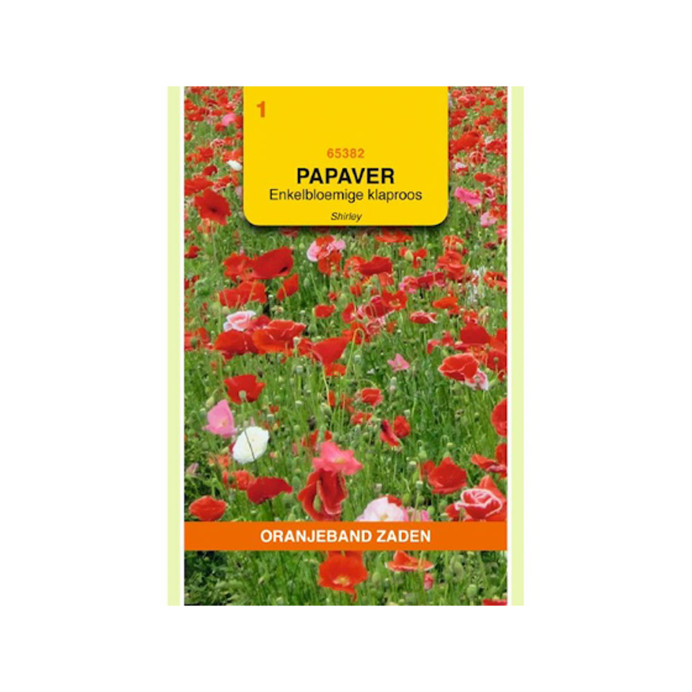 Papaver, Klaproos Shirley enkelbloemig 